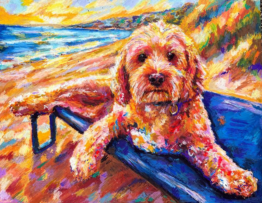 Cooper, a curly-coated apricot dog resting on a blue sun lounger on the beach, with the sea and dunes behind, in orange, pink and blue oil pastel