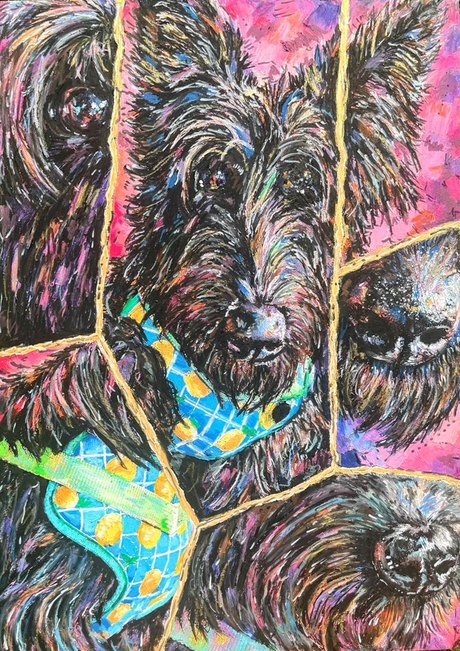 Daphne, a black dog with large ears, built as a patchwork collage of close crops with a blue and lemon harness