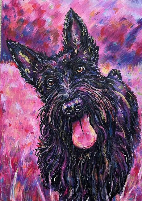 Elvis, a black Scottish terrier with large upright ears, on a hot pink and violet ground