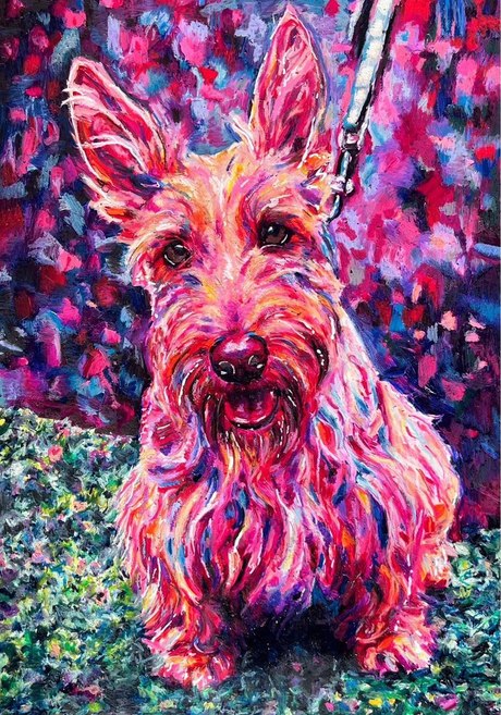 Gilbert, a Scottish terrier worked in hot pink, coral and violet oil pastel over a green ground