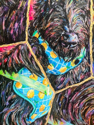 Daphne up close, the blue and lemon harness against hot pink and black