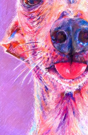 Luna up close, her nose and tongue in coral and violet coloured pencil against purple